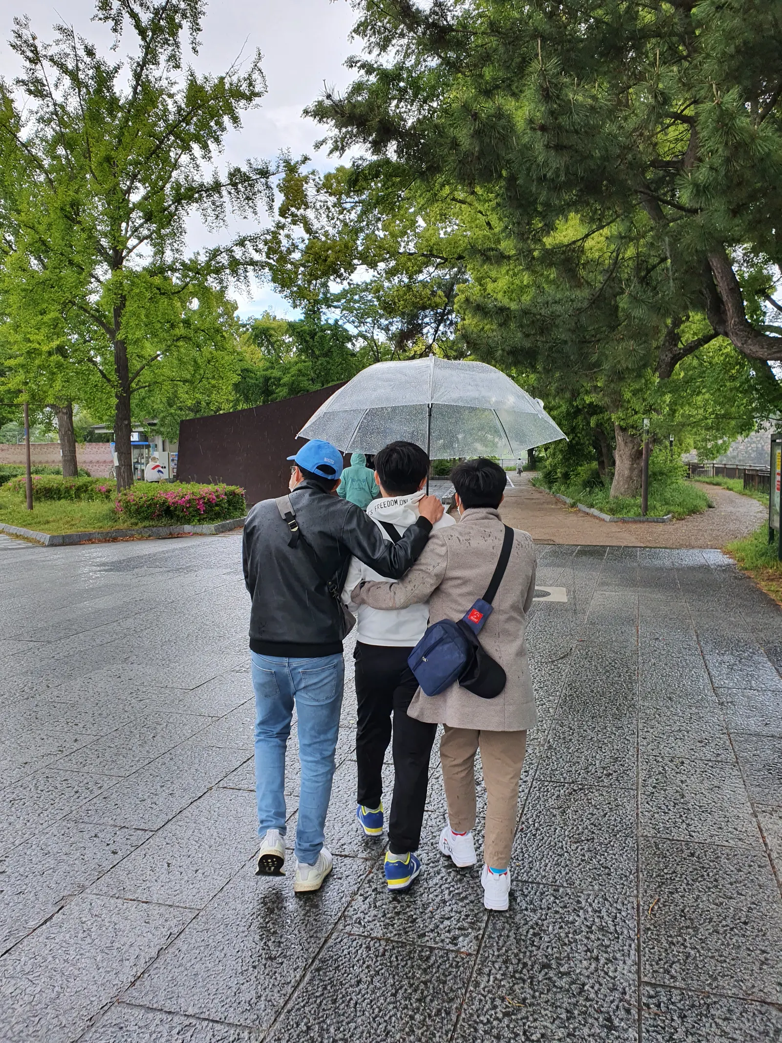 Anh minh hoa section-08