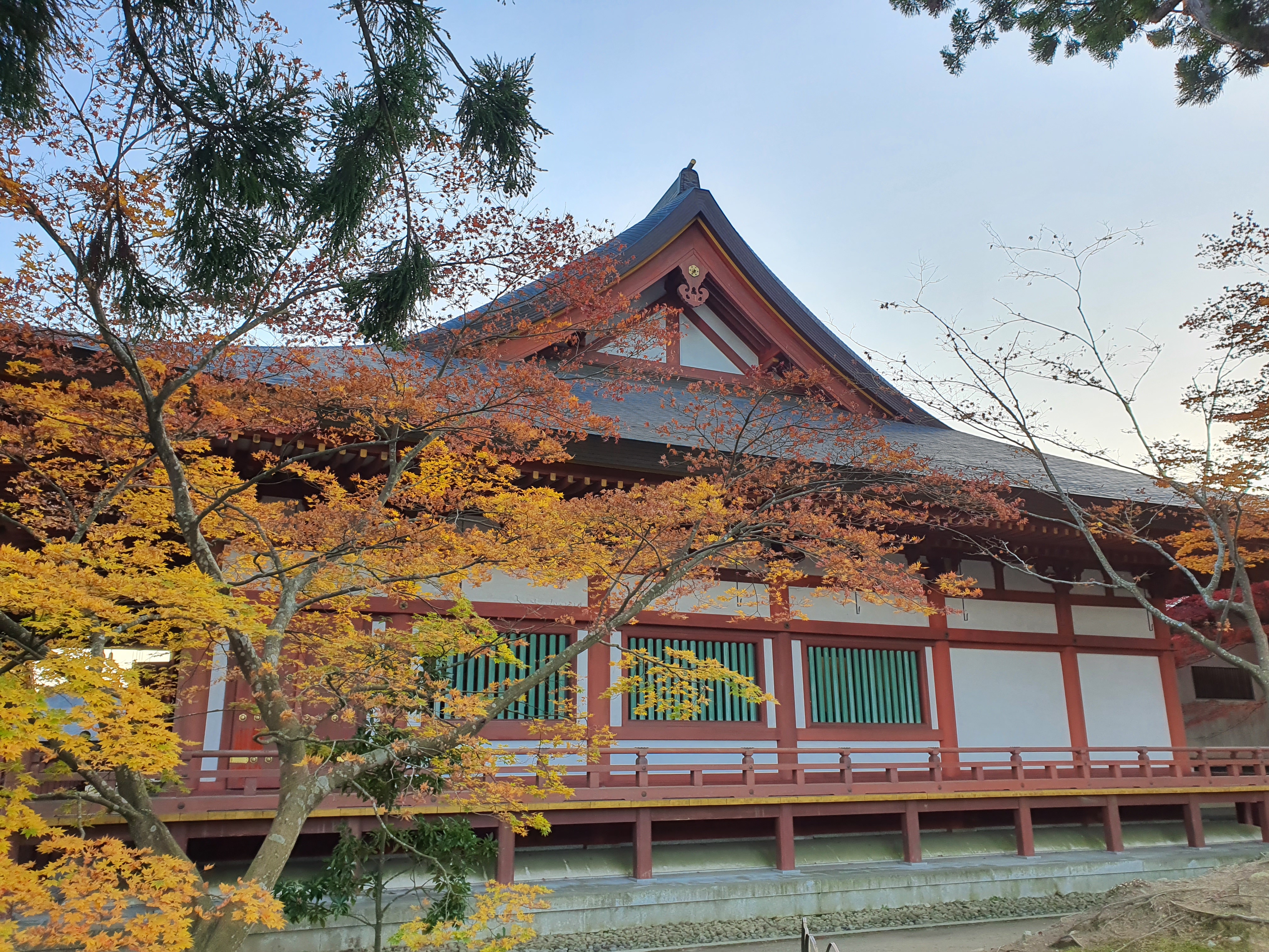 Con đường dốc thoai thoải rợp bóng cây dẫn lên chùa cổ Chūson-ji